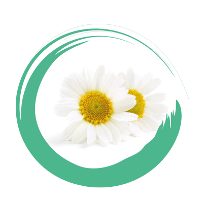 Camomilla
