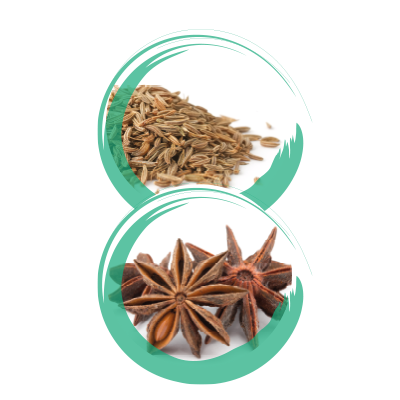 Cumino e anice stellato
