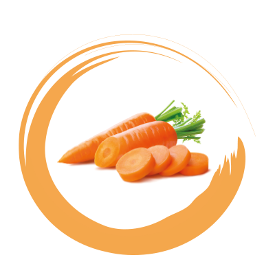 Carota