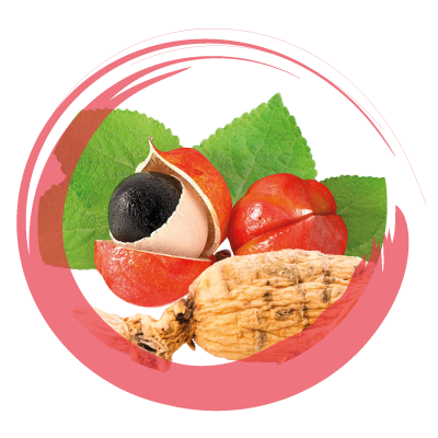 GINSENG E GUARANÀ