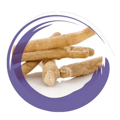 ASHWAGANDHA