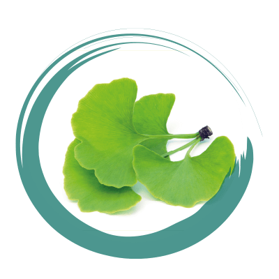 GINKGO BILOBA