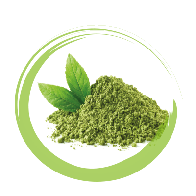Tè Matcha