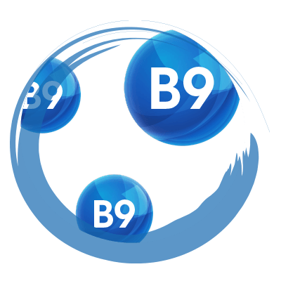 ACIDO FOLICO - Vitamina B9