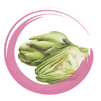 CARCIOFO