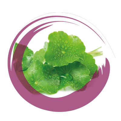 CENTELLA