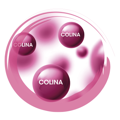 COLINA