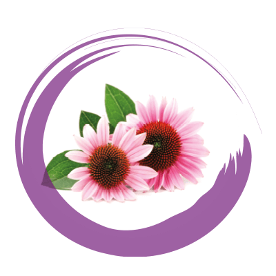 ECHINACEA