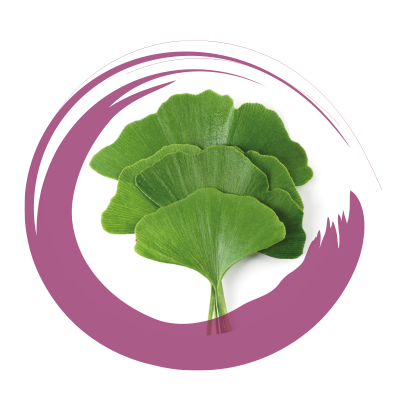 GINKGO BILOBA