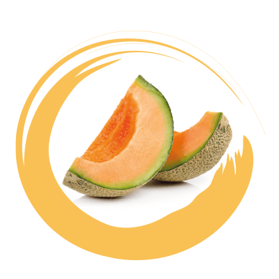 MELONE