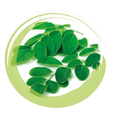 MORINGA