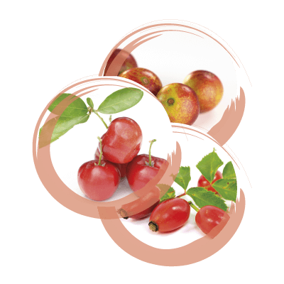 CAMU CAMU, ROSA CANINA E ACEROLA