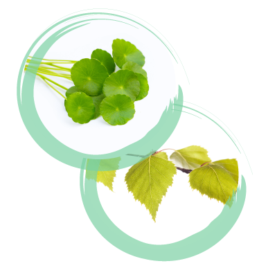 Centella e Vite